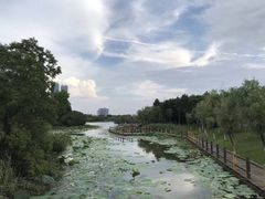 -艾溪湖湿地公园