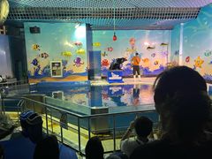 -太平洋海底世界