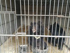 -猎鹰谷实弹射击俱乐部