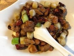 -见山书院