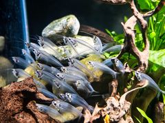 -太平洋海底世界