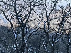 -终南山南五台景区