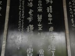-长春观