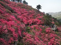 -木兰云雾山