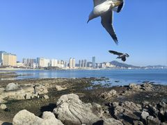-黑石礁公园