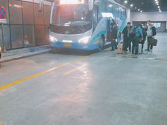 -上海机场-城市航站楼