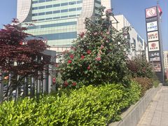 -武汉华美达光谷大酒店