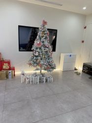 -VE专注问题肌·赛诺龙&科学美肤中心