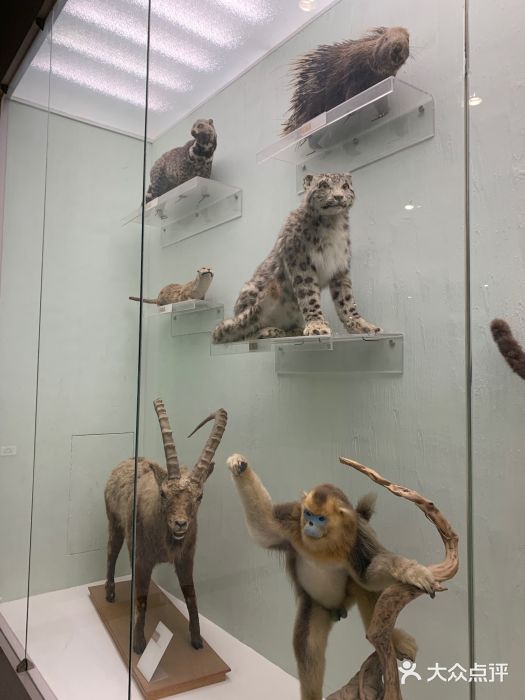 国家自然博物馆图片