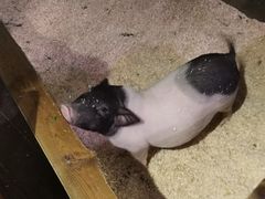 -正佳雨林生态植物园