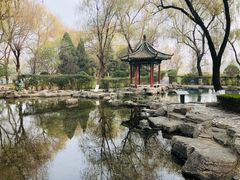 -百脉泉景区