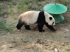 -宁波野生动物园