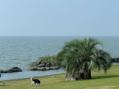-苏州湾体育公园