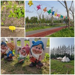 -前小桔亲子创意农场·草莓采摘·露营烧烤