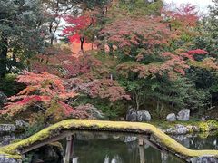 -醍醐寺