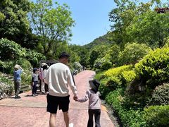 -杭州开元森泊度假乐园