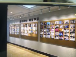 -南京医科大学友谊整形外科医院