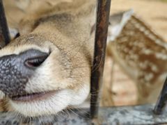 -鄂尔多斯野生动物园