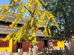 -西园戒幢律寺