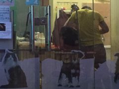 -康乐宝动物医院