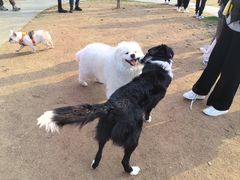 -龙美术馆西岸馆-停车场