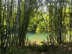 -苏家围·东江画廊旅游景区