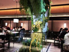 -阿露佳·舌尖上的安吉菜