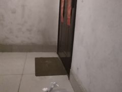-奥体体育中心游泳馆