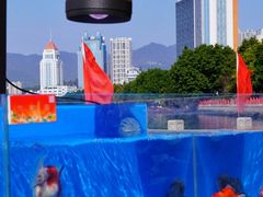 -西湖公园(鼓楼区)