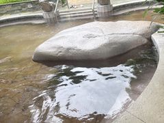 -碧水湾温泉