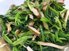 -全乐鱼馆·淳牌有机鱼直营店