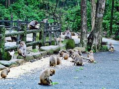 -姑婆山旅游区