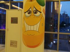-鹏欣水游城