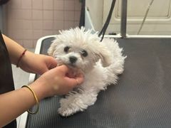 -FAELING PETS美天灵宠物(富力广场店)