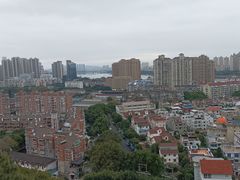 -福道