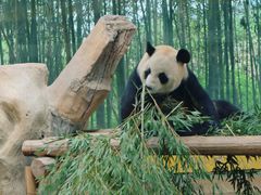 -杭州野生动物世界
