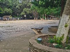 -长白岛森林公园