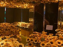 -梵高星空艺术馆(北京旗舰店)
