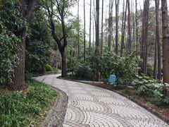 -人民公园-相亲角