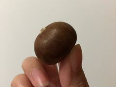 -阿男野栗王(金门路店)