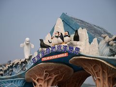 -石家庄极地海洋世界