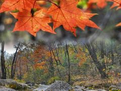 -玉渡山自然风景区