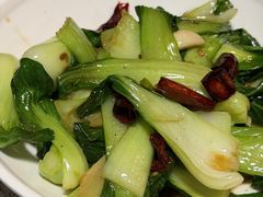 -文三里屯面馆(三里屯店)