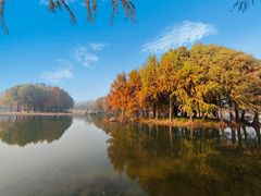 -贡湖湾湿地公园