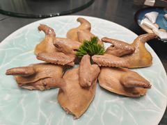 赛德盐水乳鸽-赛德大酒店(邗江中路店)