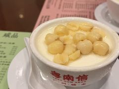 -南信牛奶甜品专家