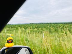 -塞罕坝国家级自然保护区