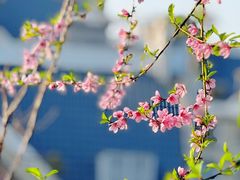 -乌山风景区