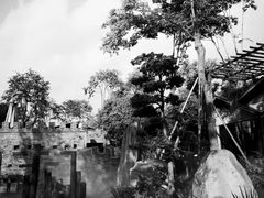 -成都七中(林荫校区)