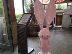 -三亚亚龙湾五号度假别墅酒店